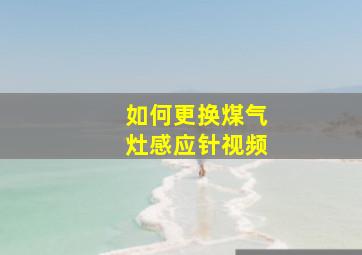 如何更换煤气灶感应针视频