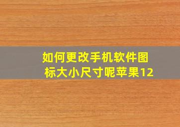 如何更改手机软件图标大小尺寸呢苹果12