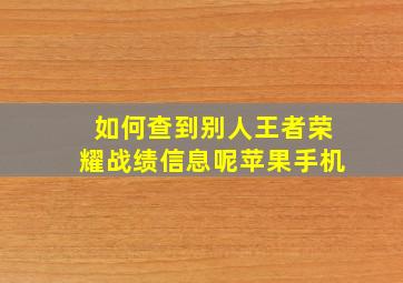 如何查到别人王者荣耀战绩信息呢苹果手机