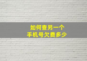 如何查另一个手机号欠费多少