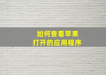 如何查看苹果打开的应用程序