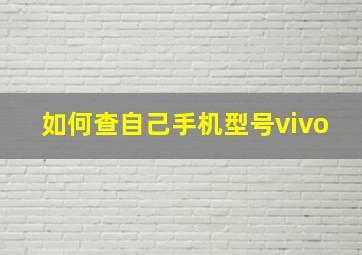 如何查自己手机型号vivo