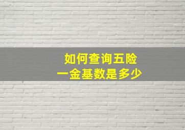 如何查询五险一金基数是多少