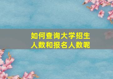 如何查询大学招生人数和报名人数呢