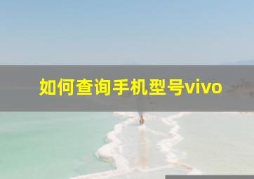 如何查询手机型号vivo