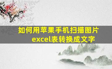 如何用苹果手机扫描图片excel表转换成文字