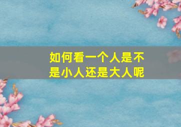 如何看一个人是不是小人还是大人呢