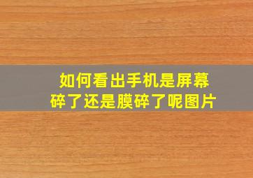 如何看出手机是屏幕碎了还是膜碎了呢图片