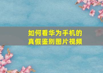 如何看华为手机的真假鉴别图片视频