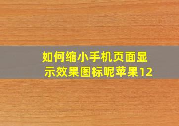 如何缩小手机页面显示效果图标呢苹果12