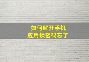 如何解开手机应用锁密码忘了