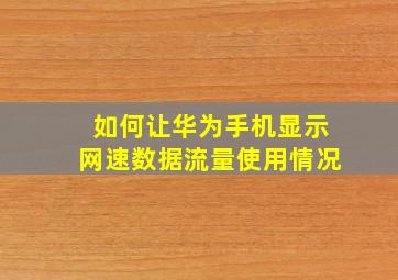 如何让华为手机显示网速数据流量使用情况