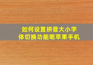 如何设置拼音大小字体切换功能呢苹果手机