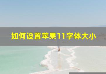 如何设置苹果11字体大小