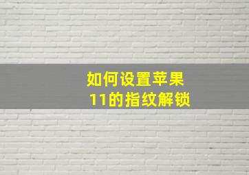 如何设置苹果11的指纹解锁