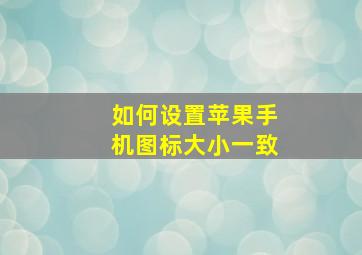 如何设置苹果手机图标大小一致