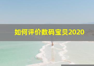 如何评价数码宝贝2020