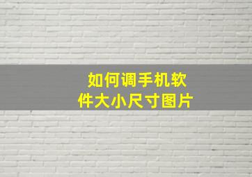 如何调手机软件大小尺寸图片