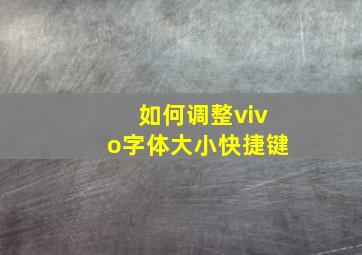 如何调整vivo字体大小快捷键