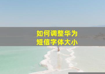 如何调整华为短信字体大小