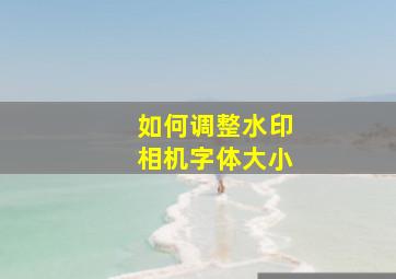 如何调整水印相机字体大小