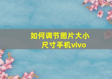 如何调节图片大小尺寸手机vivo