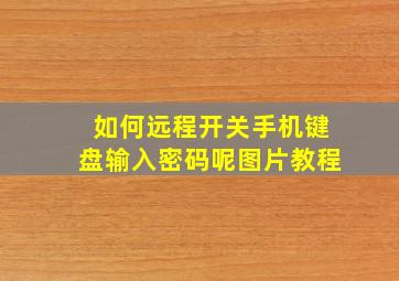 如何远程开关手机键盘输入密码呢图片教程