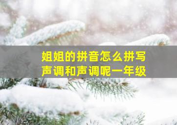 姐姐的拼音怎么拼写声调和声调呢一年级