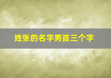 姓张的名字男孩三个字