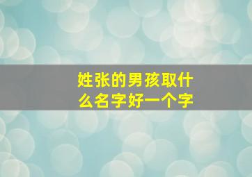 姓张的男孩取什么名字好一个字