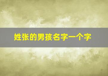 姓张的男孩名字一个字