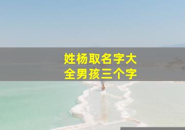 姓杨取名字大全男孩三个字