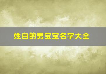 姓白的男宝宝名字大全