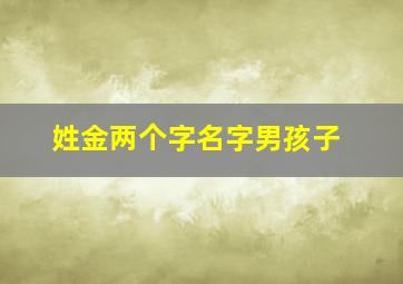 姓金两个字名字男孩子