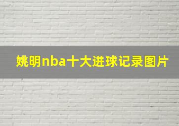 姚明nba十大进球记录图片