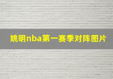 姚明nba第一赛季对阵图片