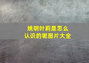 姚明叶莉是怎么认识的呢图片大全