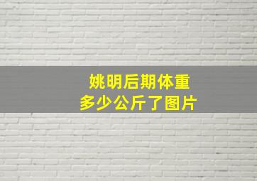 姚明后期体重多少公斤了图片