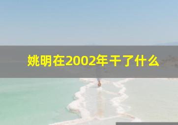 姚明在2002年干了什么