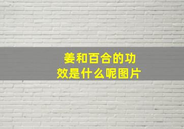 姜和百合的功效是什么呢图片