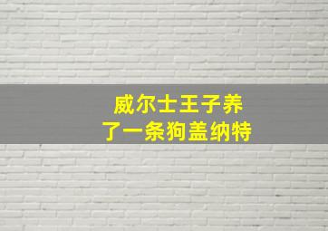 威尔士王子养了一条狗盖纳特