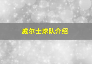 威尔士球队介绍