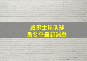 威尔士球队球员名单最新消息