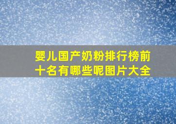 婴儿国产奶粉排行榜前十名有哪些呢图片大全