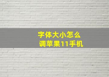 字体大小怎么调苹果11手机