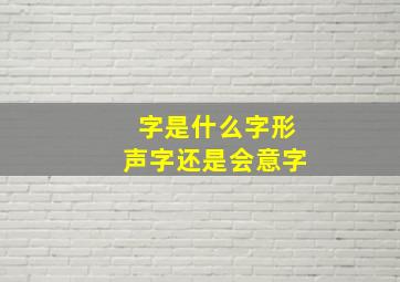 字是什么字形声字还是会意字