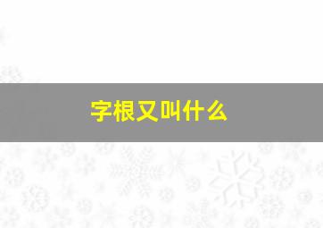 字根又叫什么