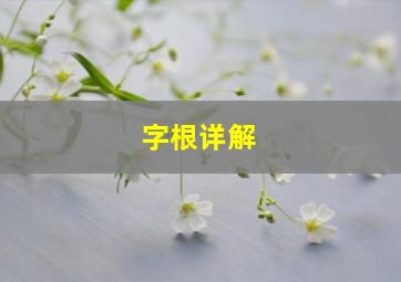 字根详解