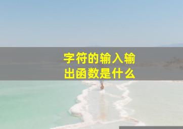 字符的输入输出函数是什么