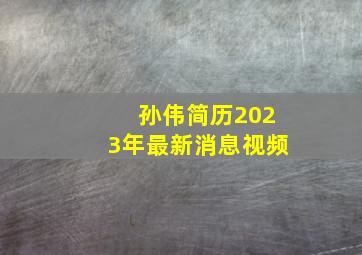 孙伟简历2023年最新消息视频